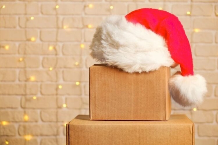 Quick Survival Tips for Moving Over the Holidays