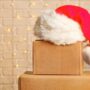 Quick Survival Tips for Moving Over the Holidays