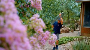 Sustainable Moving 7 Tips for an Eco-Friendly NJ Relocation