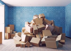 How to Avoid Bed Bugs During Your NJ Move